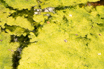 Background with curves and diagonals in the river