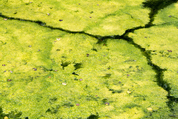 Background with curves and diagonals in the river