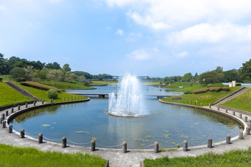 Fototapeta premium ひたち海浜公園の噴水