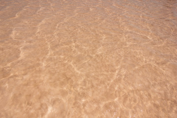 Close-up of the water of the salty pink lake Bursol (Altai Territory).