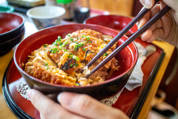 日本の丼物　カツ丼