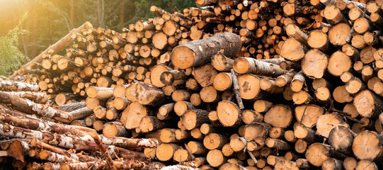 Stock of timber. Timber industry
