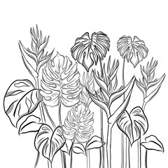 Line drawing,beautiful Monstera leaves and Heliconia flowers on white background.Modern natural background.Minimalist drawing print,creative with illustration in flat design.