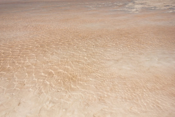 Close-up of the water of the salty pink lake Bursol (Altai Territory).