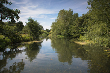 Views of the River Bure between Coltishall and the end of navigation, The Broads, Norfolk, UK