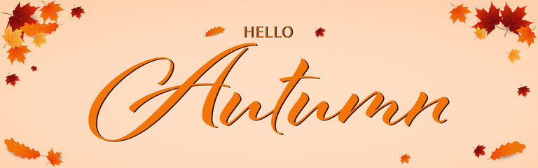 Illustration banner of Autumn leaves frame background. Written text Hello Autumn.