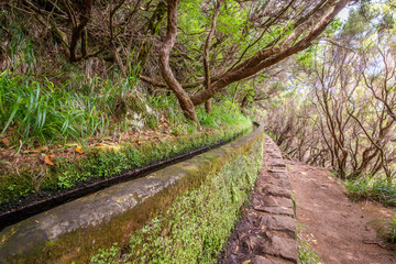 Madeira Island