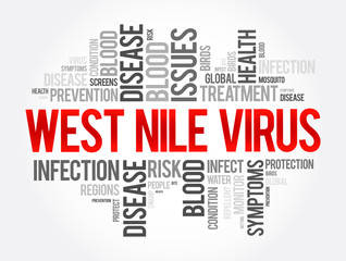 West Nile Virus word cloud collage, health concept background