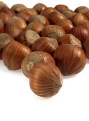 Hazelnuts, corylus avellana against White Background