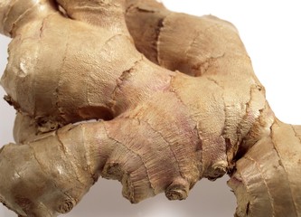 Ginger Root, zingiber officinale against White Background