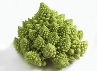 Romanesco Cabbage, brassica oleracea against White Background