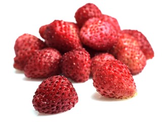 Wild Strawberries, fragaria vesca against White Background