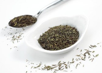 Provencial Thyme, thymus vulgaris against White Background