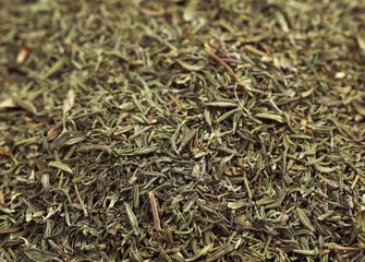 Provencial Thyme, thymus vulgaris