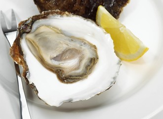 Plate with French Belon Oyster, ostrea edulis © slowmotiongli