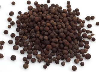 Jamaica Pepper, peper nigrum against White Background