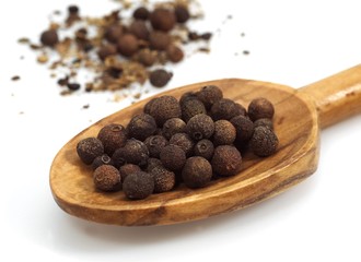 Jamaica Pepper, peper nigrum against White Background