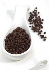 Jamaica Pepper, peper nigrum against White Background