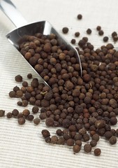 Jamaica Pepper, peper nigrum