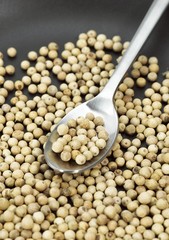 White Peppercorn, peper nigrum