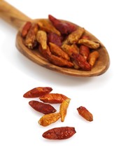 Bird Pepper, capsicum frutescens against White Background