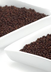 Grains of Paradise, aframomum melegueta, African Spice against White Background