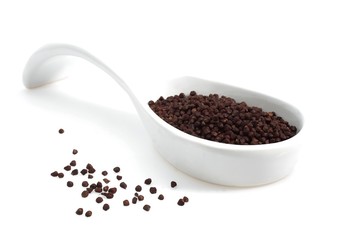 Grains of Paradise, aframomum melegueta, African Spice against White Background
