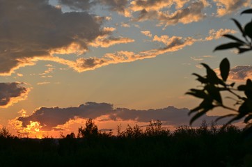 Obraz na płótnie Canvas Beautiful photos at sunset.