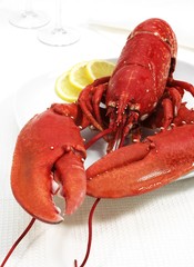 Plate with Boiled Lobster, homarus gammarus