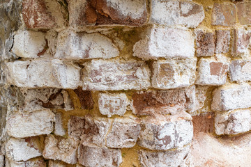 Old brick wall for a backdrop. Strong release of white salt. Red brick.
