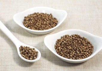 Coriander Seeds, coriandrum sativum
