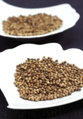 Coriander Seeds, coriandrum sativum