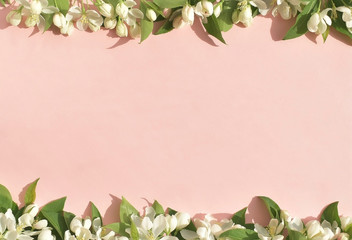Frame of white flowers on a pink background. Copy space. Top view. Flat lay.