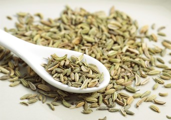 Seeds of Fennel, foeniculum vulgare