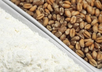 Wheat Flour and Seeds