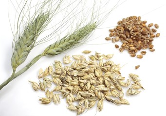 Wheat Ear, Flour and Seeds