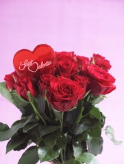 Red Roses for Saint Valentine's Day