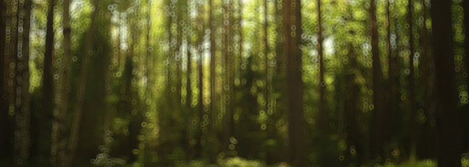 landscape summer forest glare sun bokeh blurred background, abstract view of trees