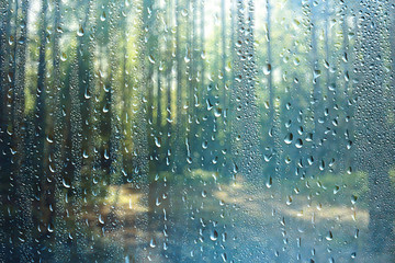 summer forest landscape rain drops, abstract background wet park, rain spray weather