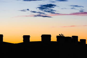 Seagulls sit on the roof. Roofs of ancient city at sunset, chimneys