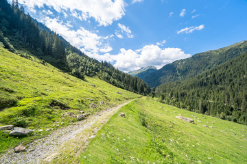 Fototapeta na wymiar Hiking path in Alps