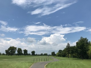 Obraz premium green field and blue sky