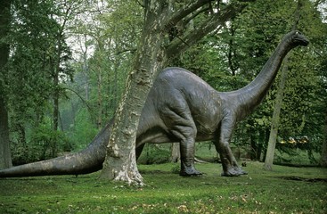 Diplodocus, Gigantic Herbivorous Sauropods from the Late Jurassic Period © slowmotiongli