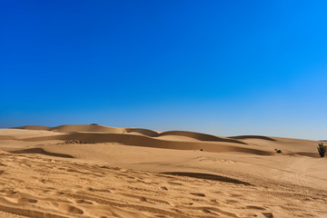 Fototapeta na wymiar sand dunes in the desert