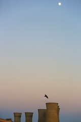 The sun rises illuminating the Bulawayo Power Station, Zimbabwe, while the Moon is still visible and a crow flies over.