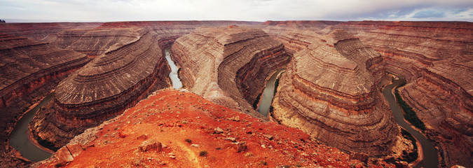 Gooseneck