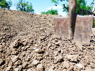 rusty shovel with a wooden handle stuck in the ground in a hole against the sky with trees