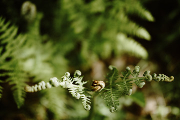 Yoga and Mindfulness in the Alps