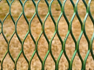 Fototapeta premium green metal lattice on a background of dried grass photo texture background