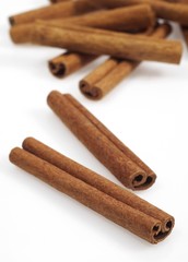 Cinnamon Bark, cinnamomum zeylanicum